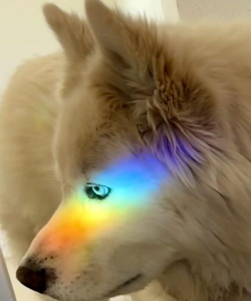 Ru