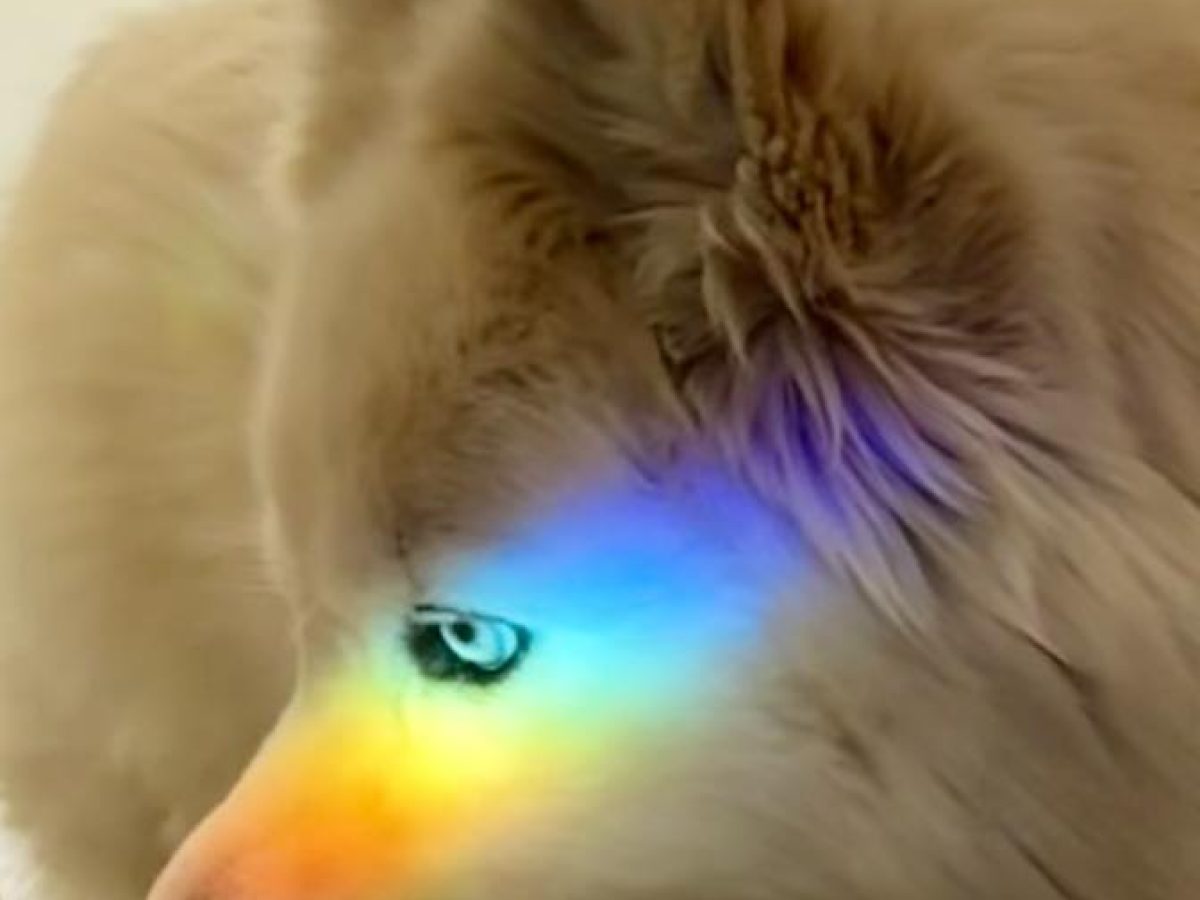 Ru
